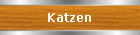 Katzen